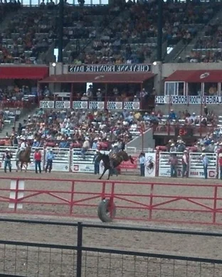 Bulls and Bands