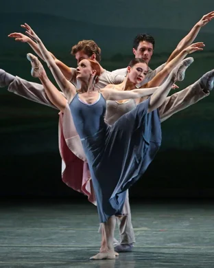 Ballet of Lights: Sleeping Beauty