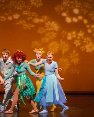Menopause - The Musical